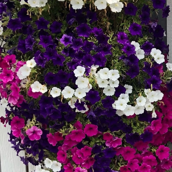 Thanks for checking out my closet! - Picture 1 of 1